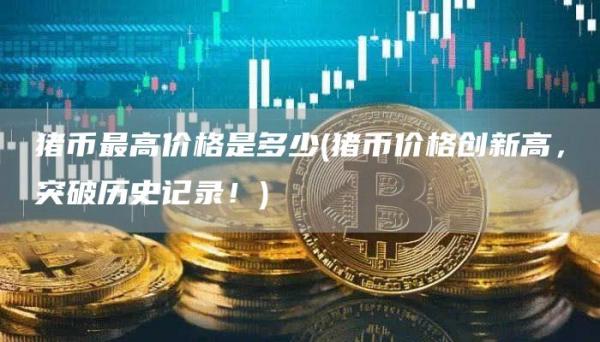 猪币最高价格是多少 - 猪币价格创新高，突破历史记录！
